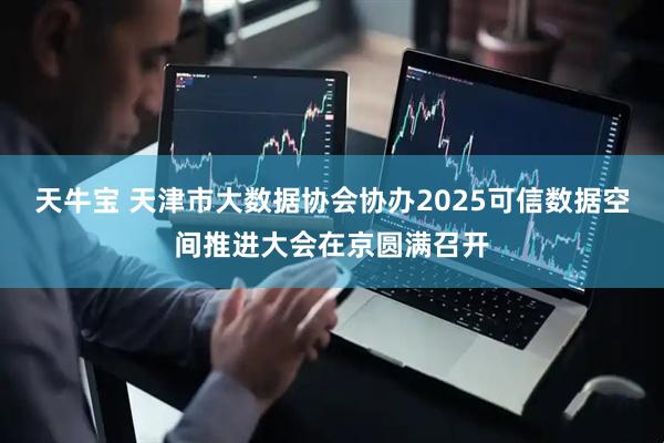 天牛宝 天津市大数据协会协办2025可信数据空间推进大会在京圆满召开
