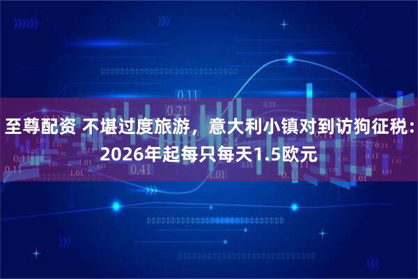 至尊配资 不堪过度旅游，意大利小镇对到访狗征税：2026年起每只每天1.5欧元